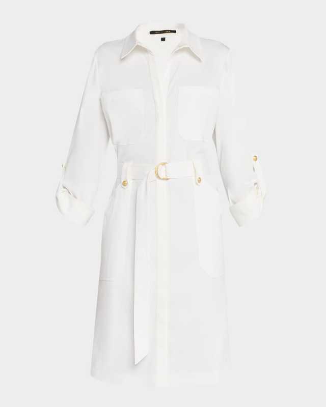Caryss Belted A-Line Shirtdress